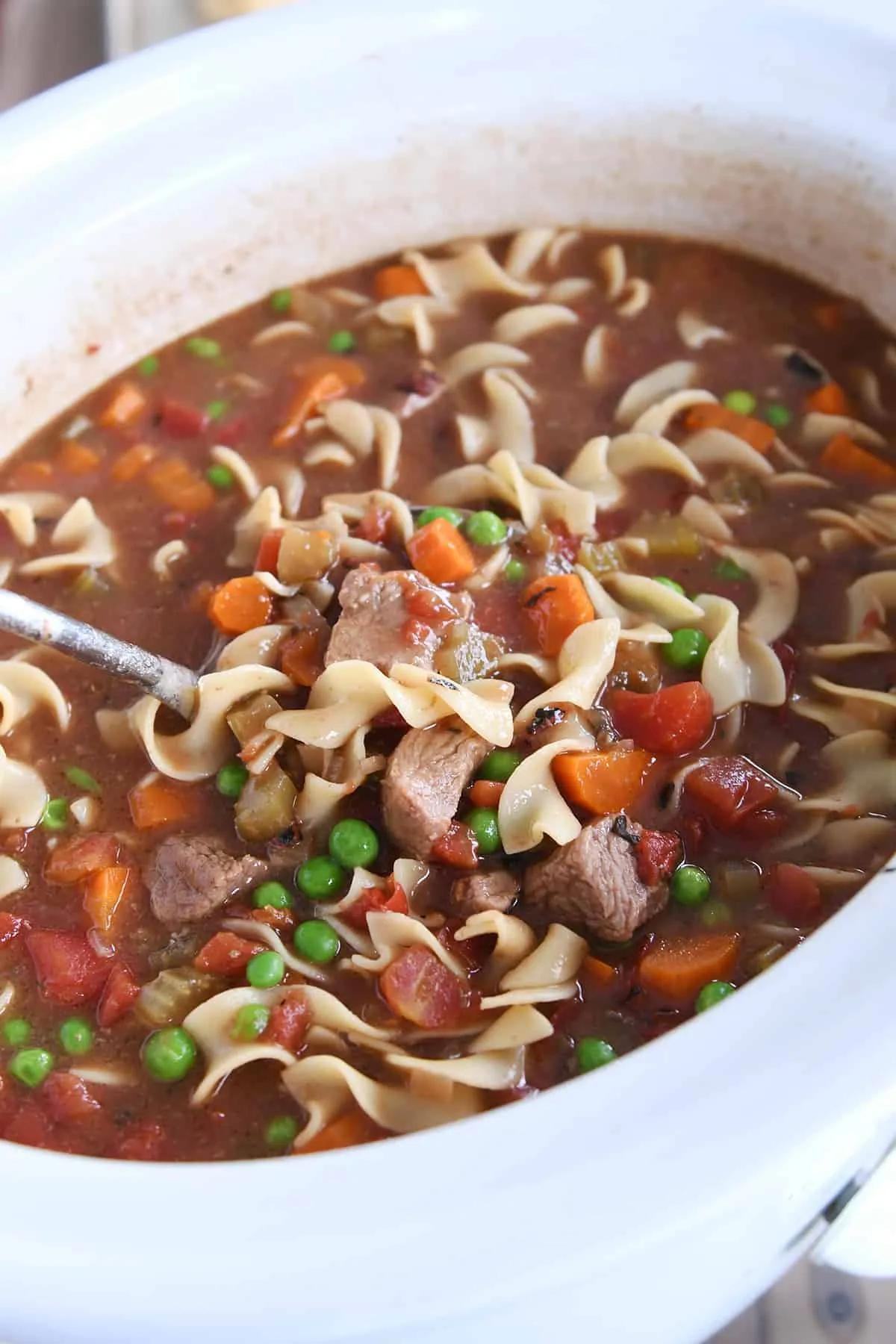 Vegetable Beef and Noodle Soup