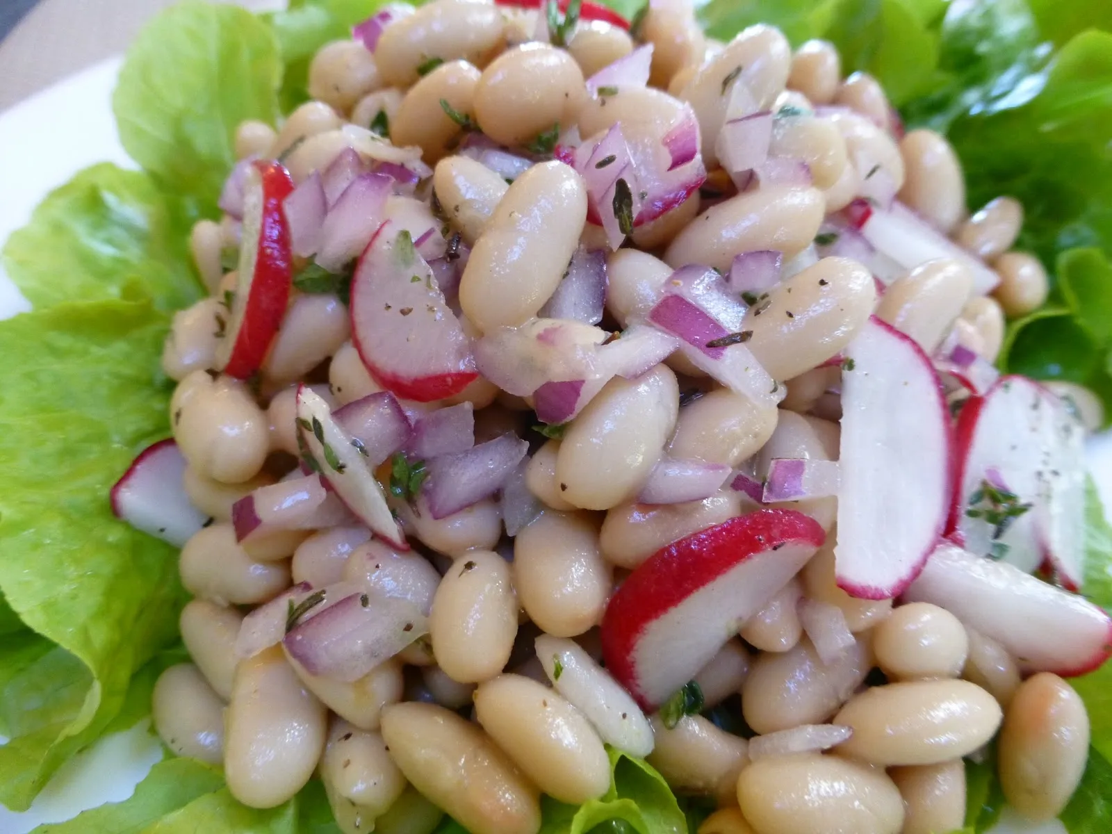 White Bean Radish and Red Onion Salad