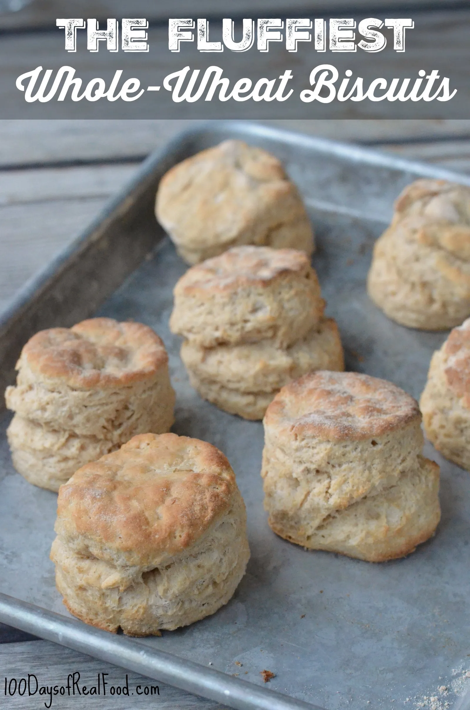 Whole Wheat Buttermilk Biscuits Freezer Meal