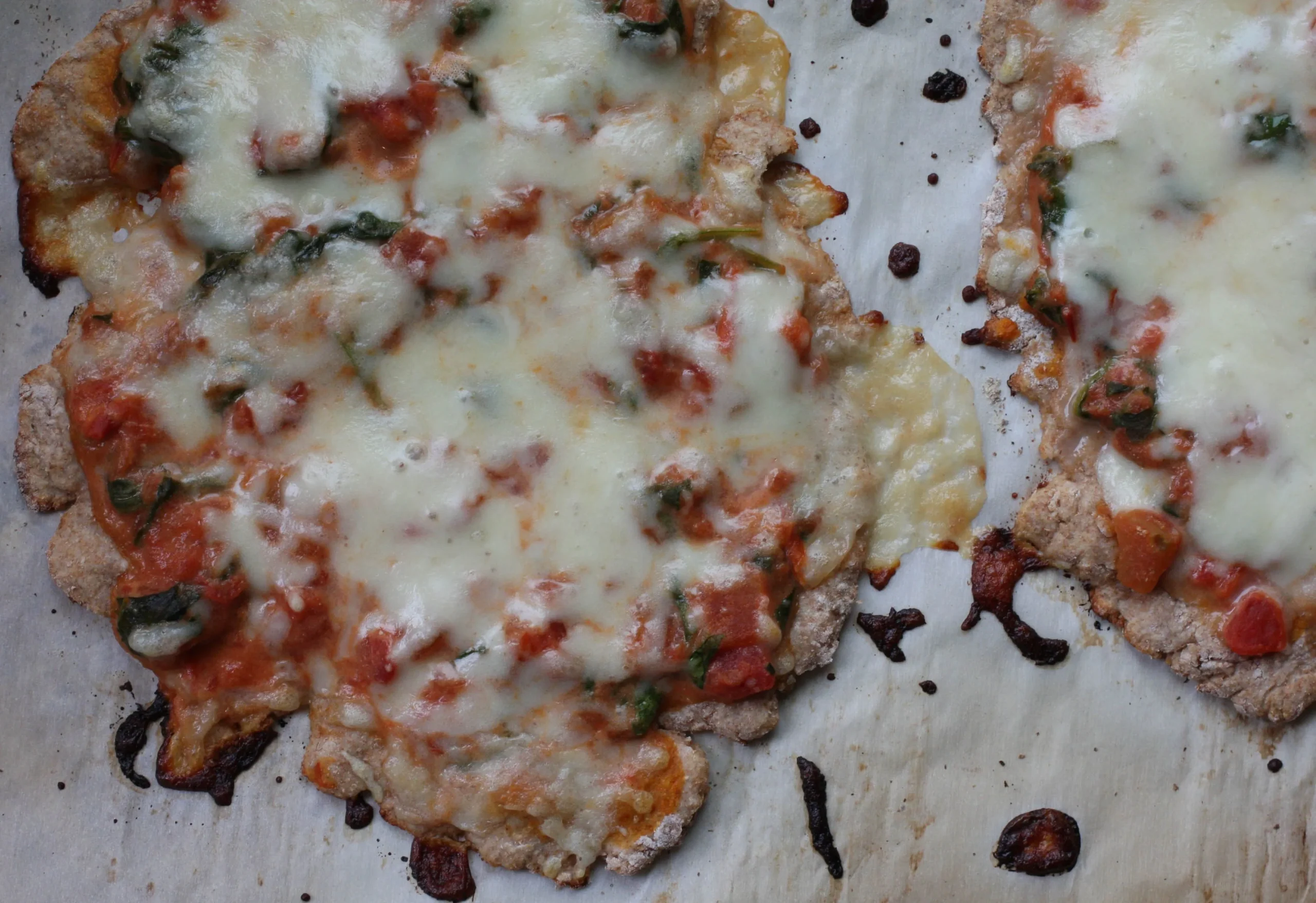 Whole Wheat Greek Yogurt Pizza Crust