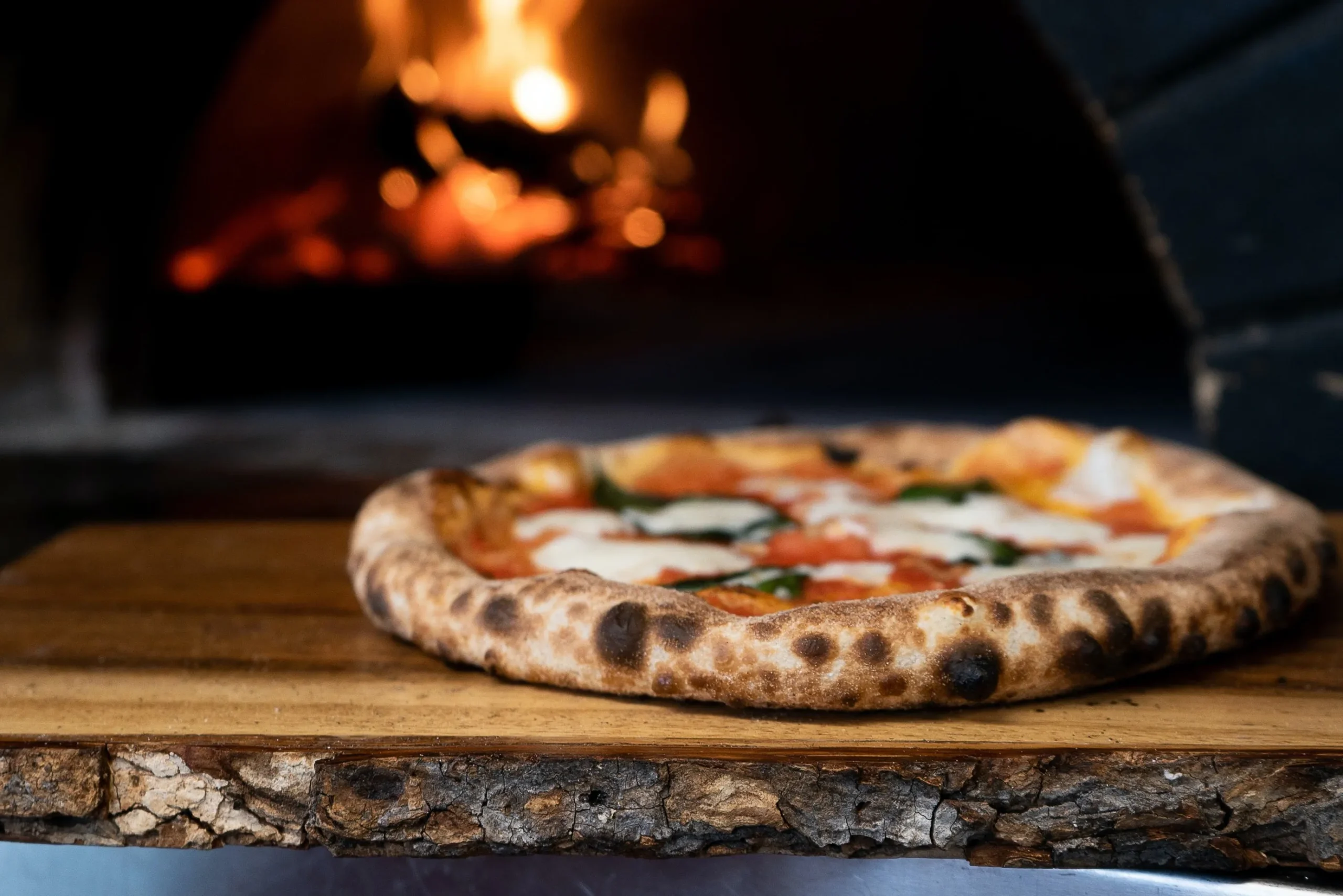 Wood Fired Pizza Dough