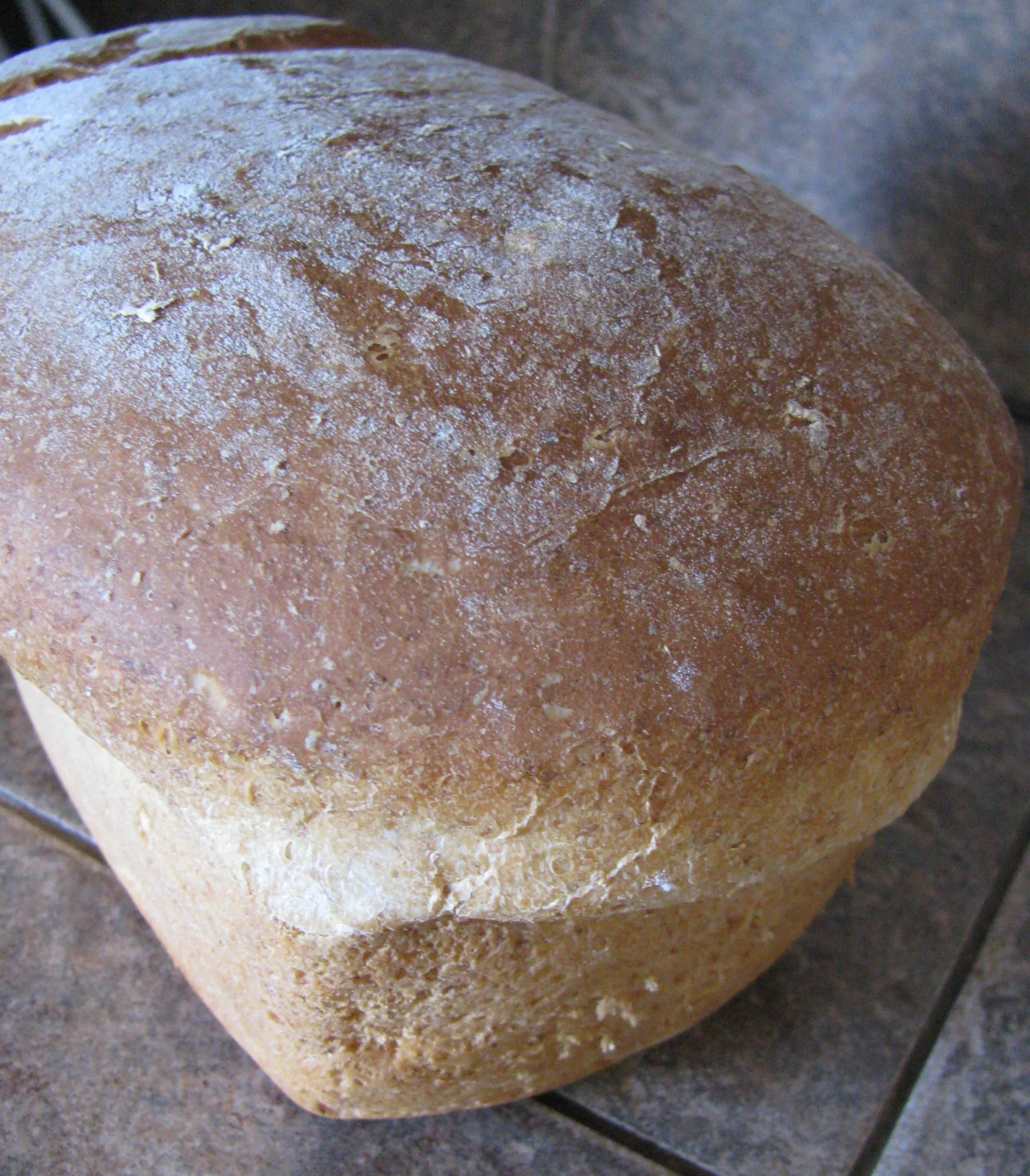 Yogurt Rye Bread ABM OVO