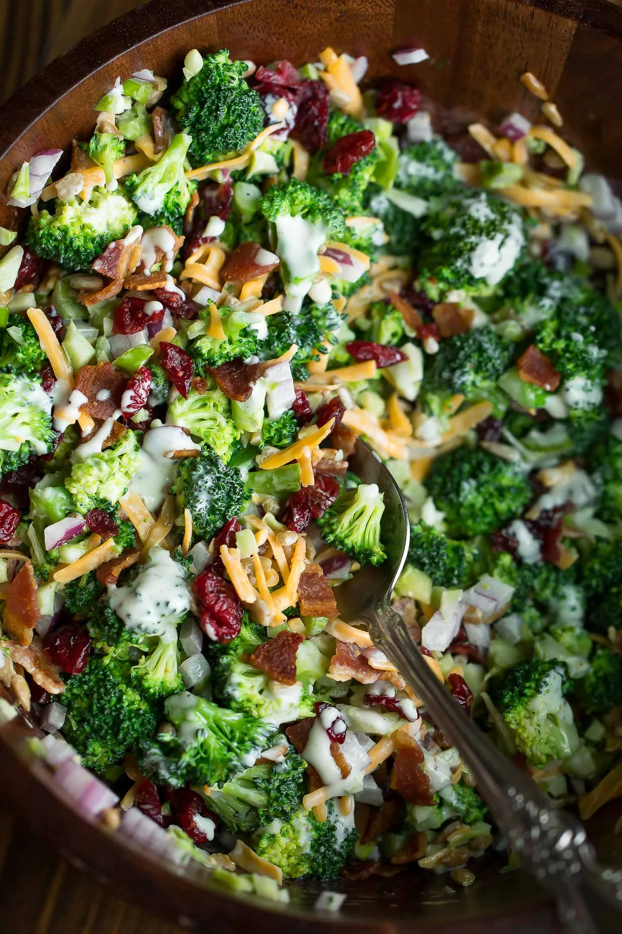 broccoli slaw with cranberries and bacon