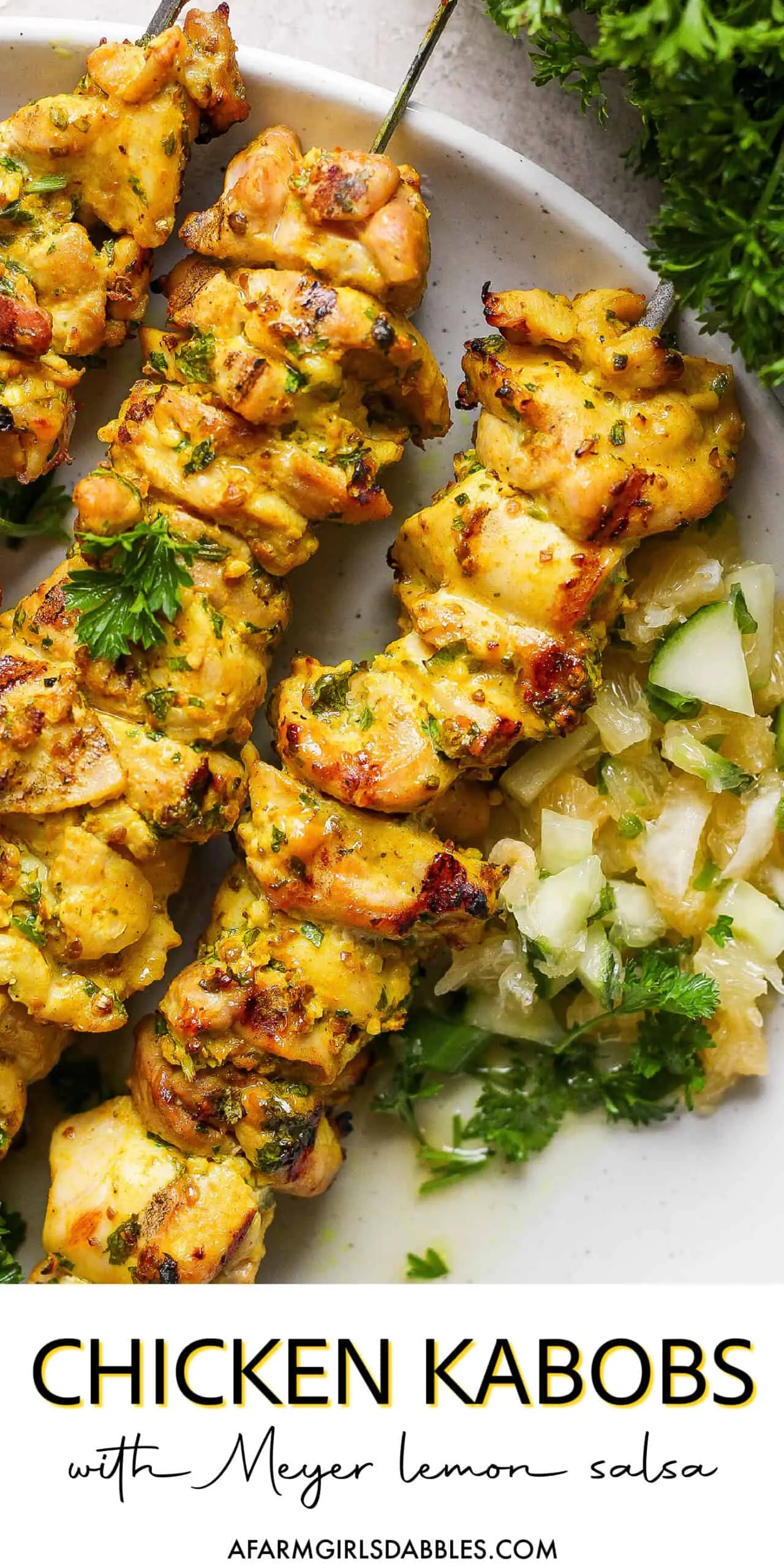 grilled chicken kebabs with meyer lemon salsa