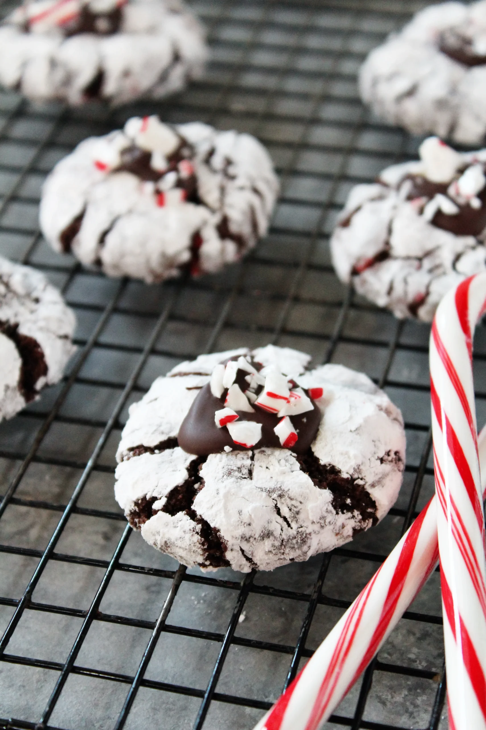 peppermint crinkle cookies but like actually brookies