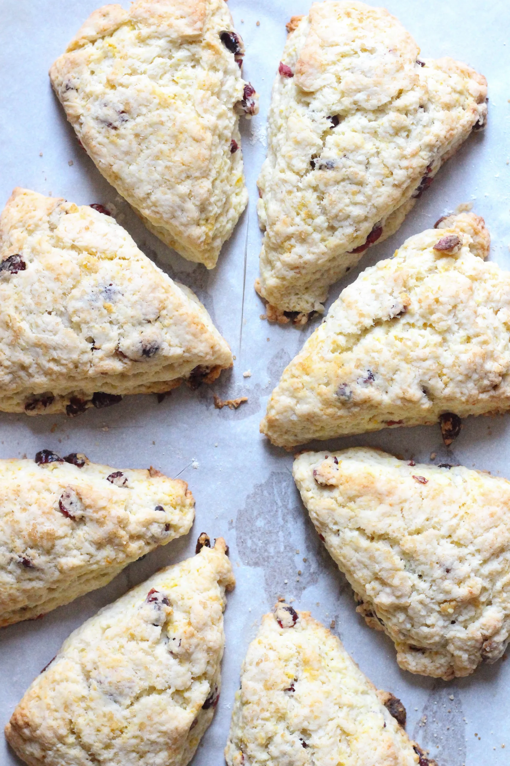 scones vegan orange et cranberries